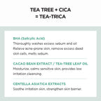 SKIN1004 Madagascar Centella Tea-Trica BHA Foam - 125ml,