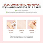 SKIN1004 Madagascar Centella Poremizing Quick Clay Stick Mask – 27 g