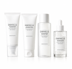 Skin 1004 Tone brightening Set - 4 Pcs
