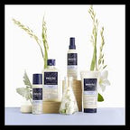 Phyto SOFTNESS Shampoo | Phyto Hair Care