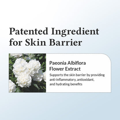 Dr. Althea 147 Barrier Cream – Deep Hydration & Skin Barrier Repair (50ml)